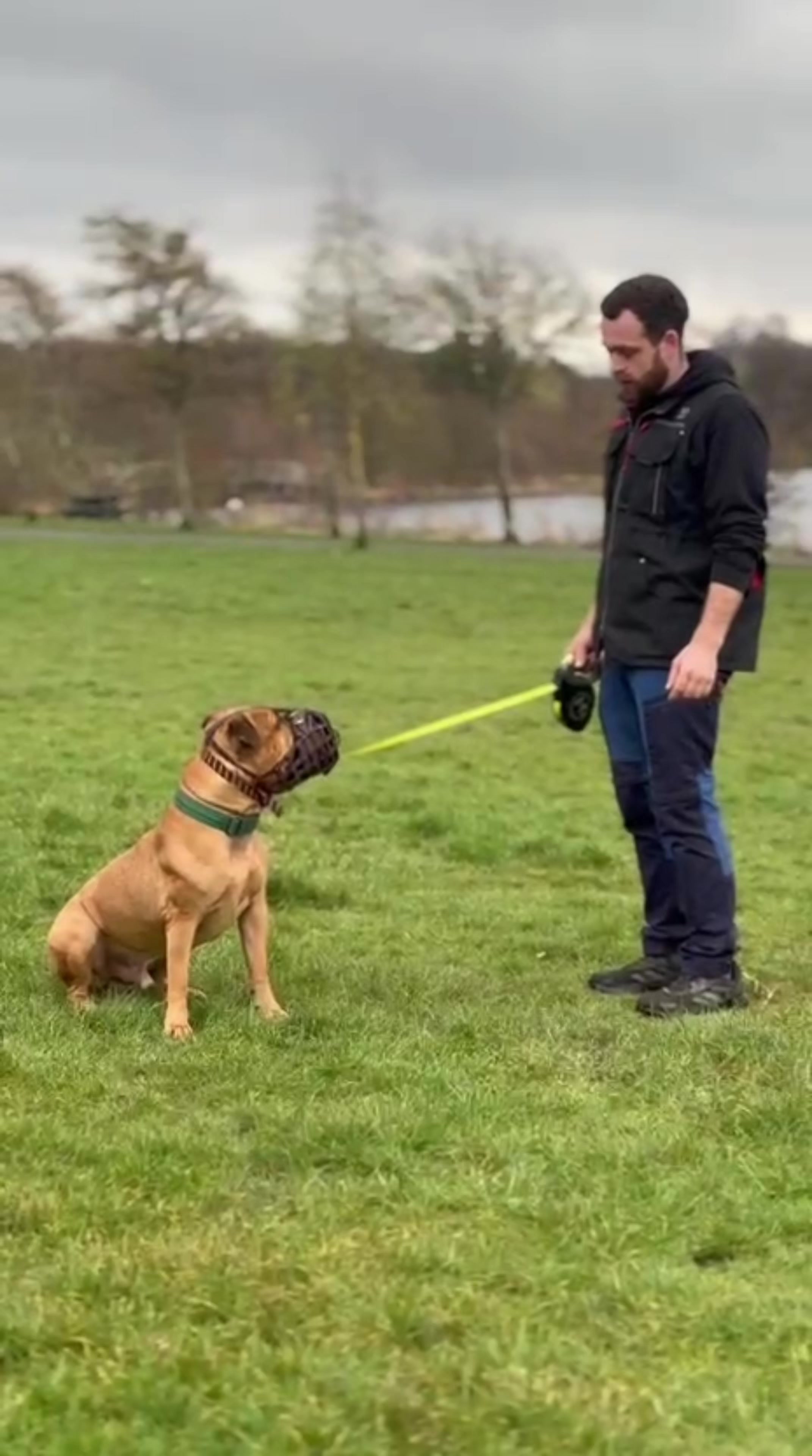@Michael || Dog Trainer