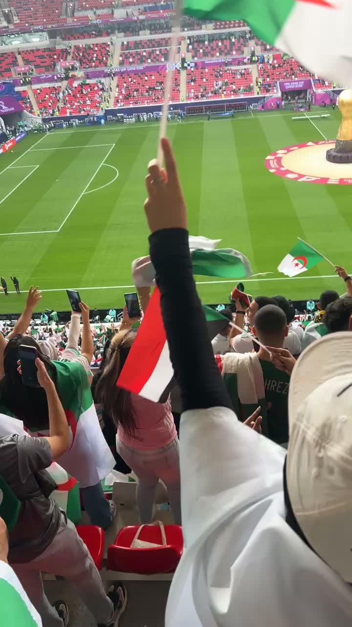 @Riyad Mghnawi