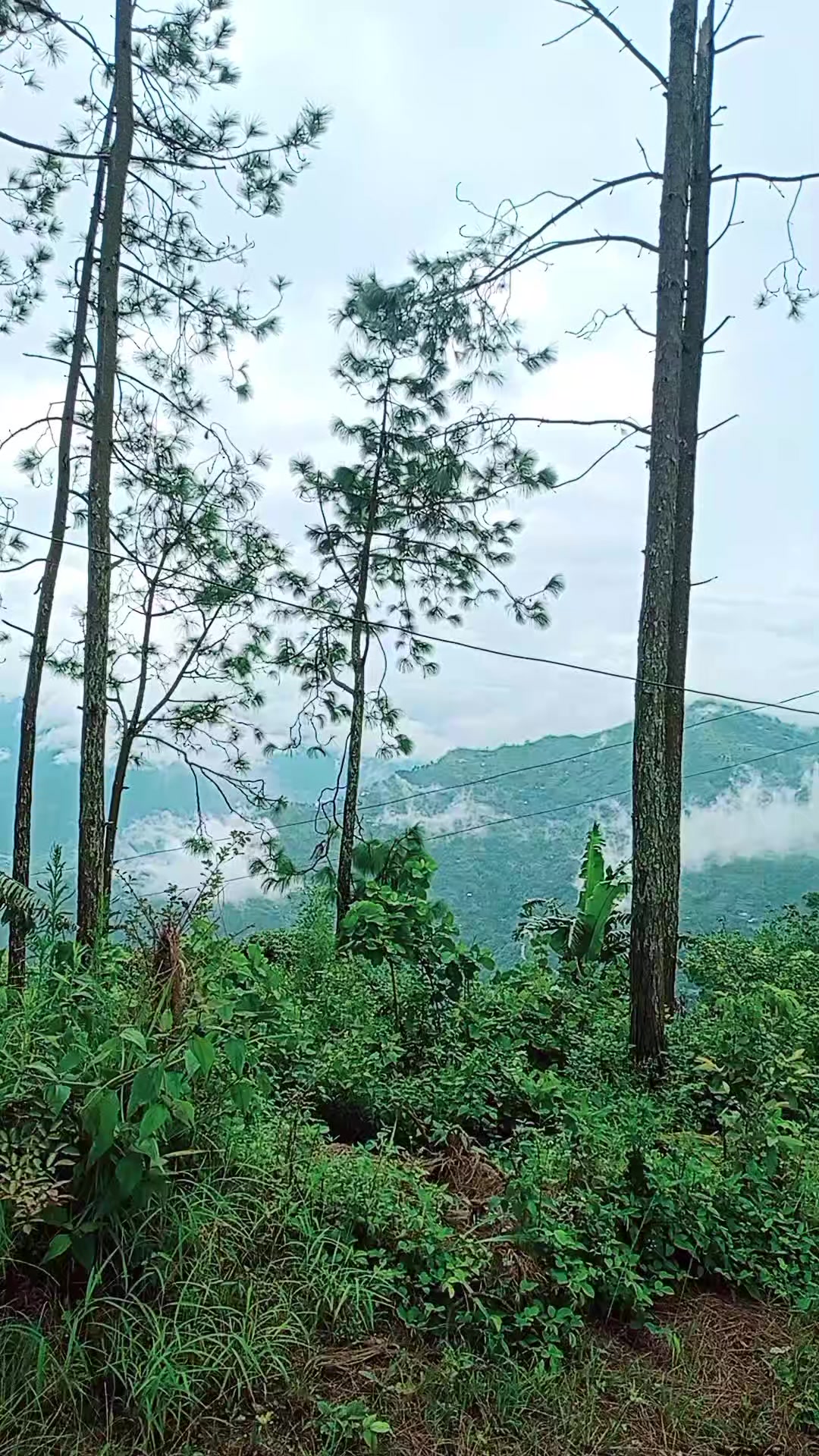 @kabyakriti_khatiwada😘