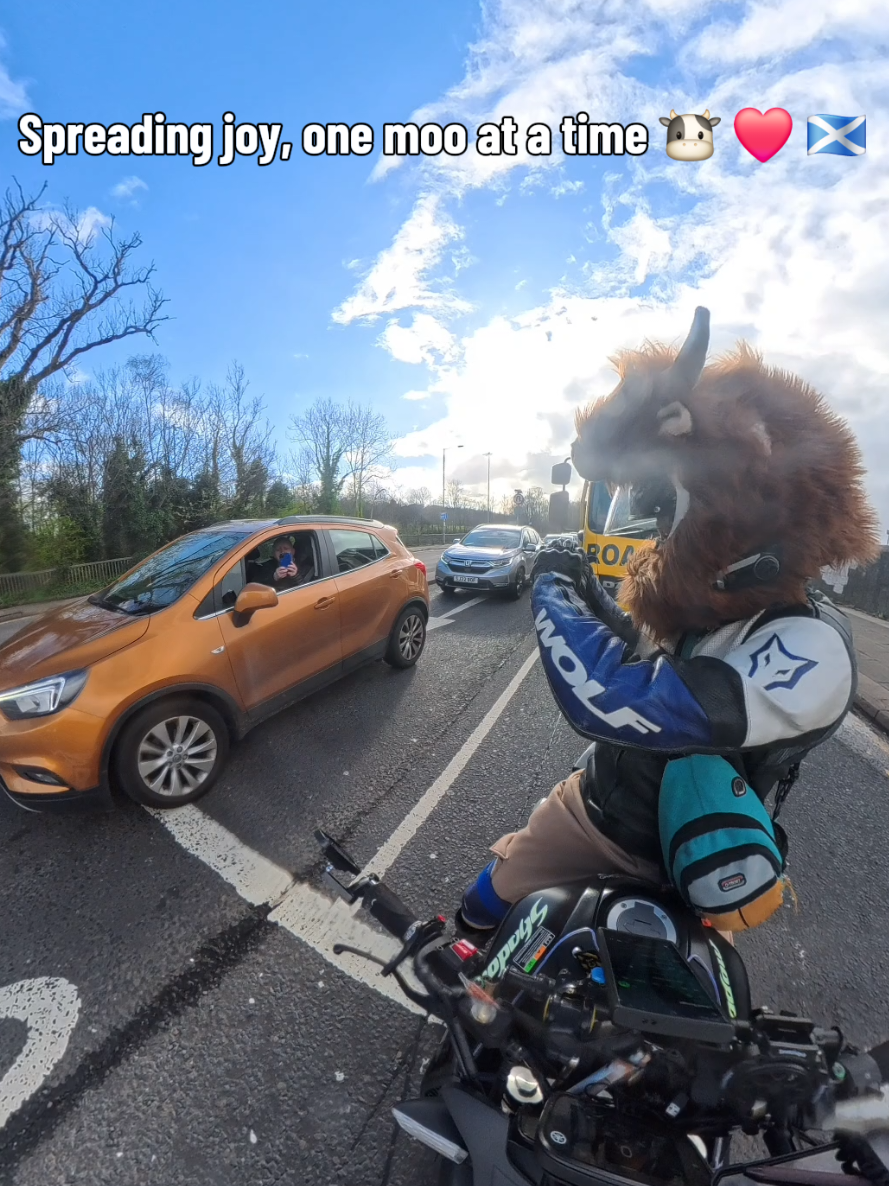 @Highland Cow Rider 🐮🏍
