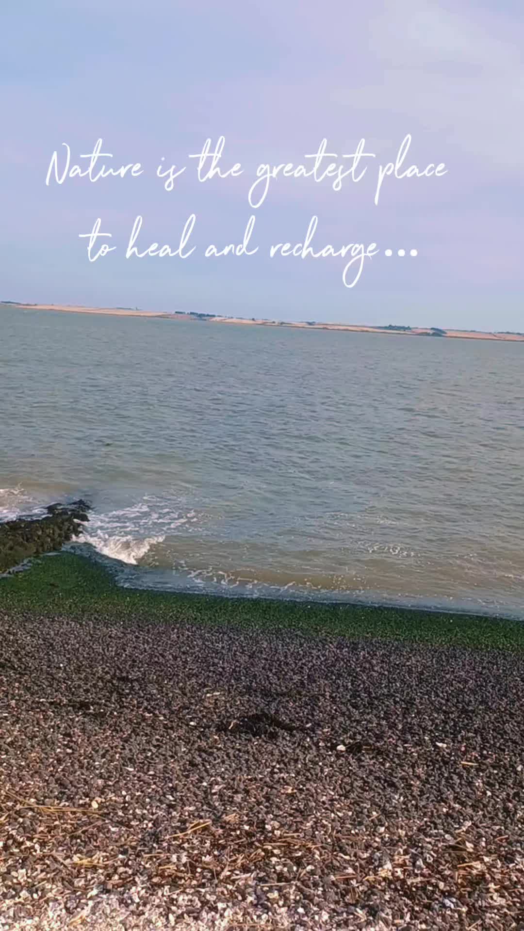 @nicola🦁💙
