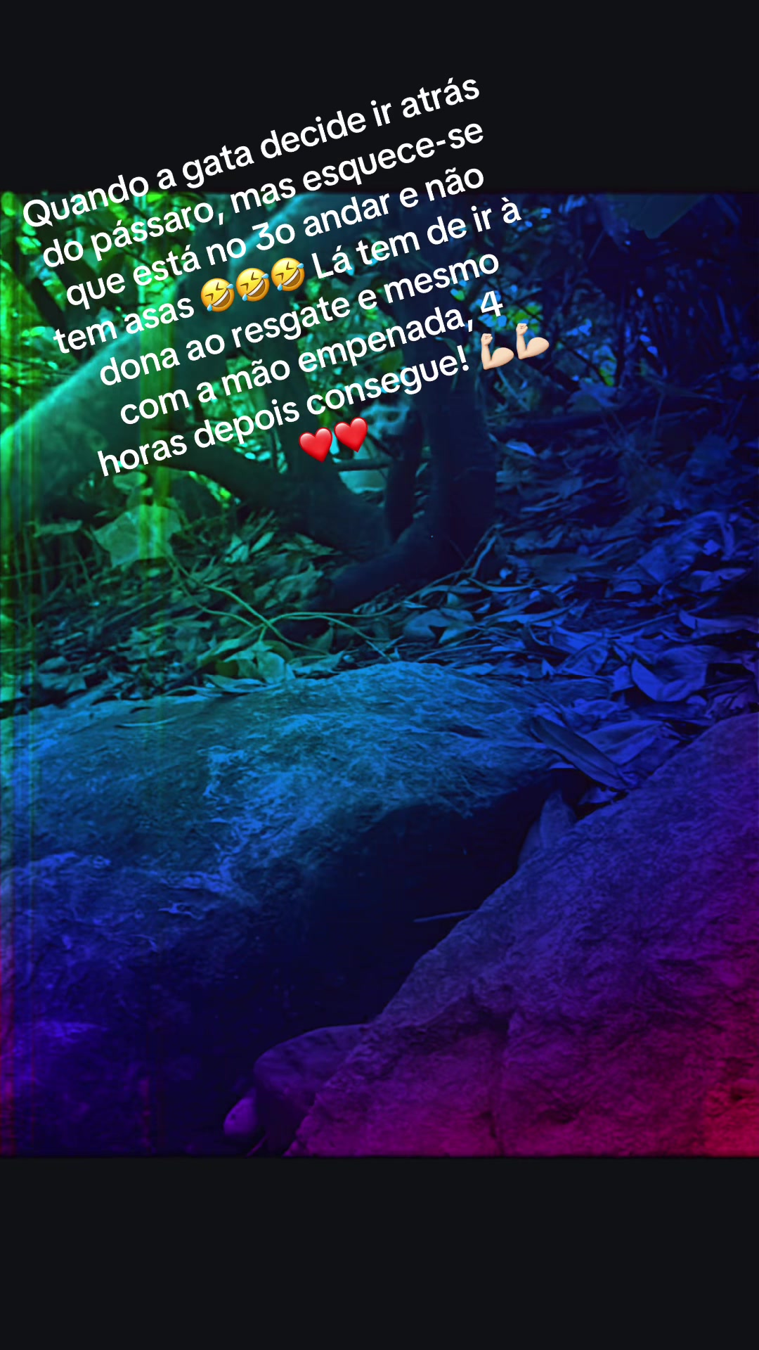 @Rainha_Carlota