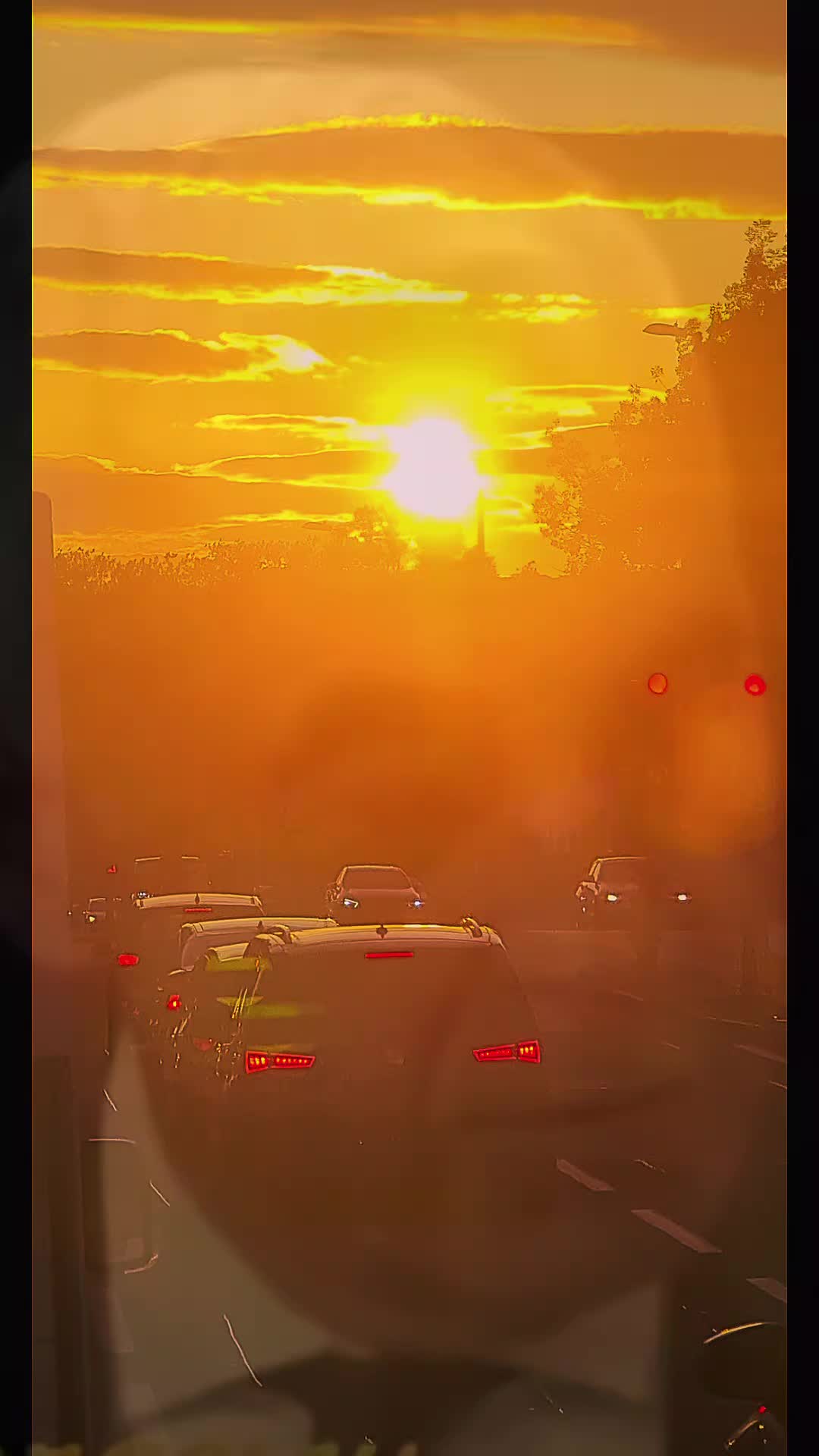 @Traveler2025