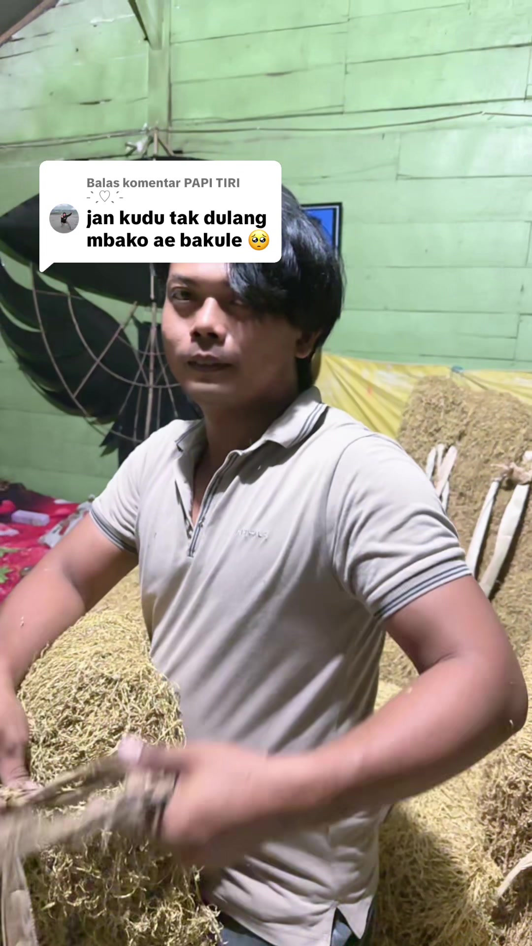 @PemainDalam