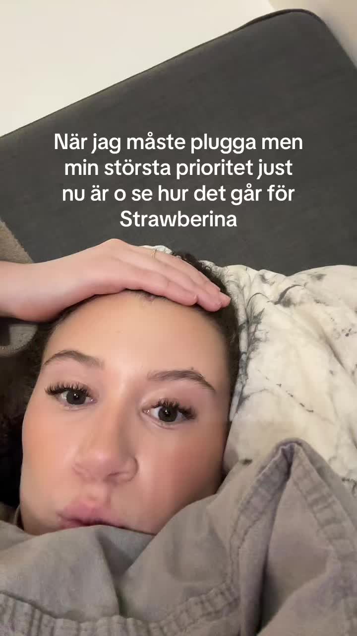 @Brinn 🤡