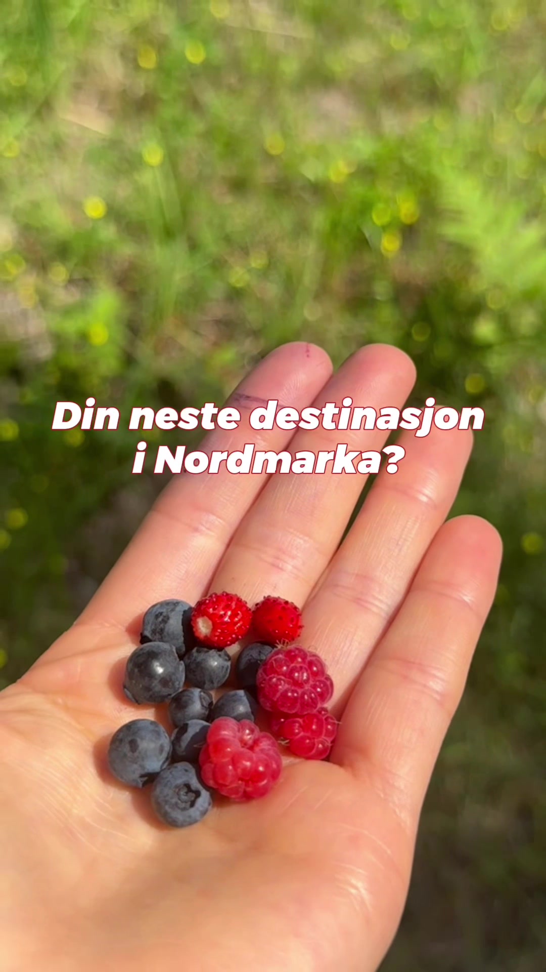 @Mer av Oslo