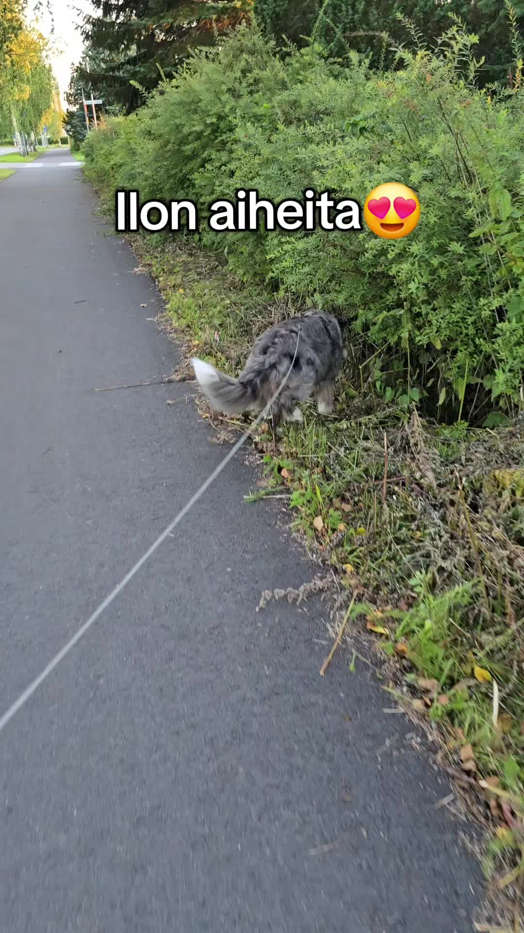 @Kati Häkli