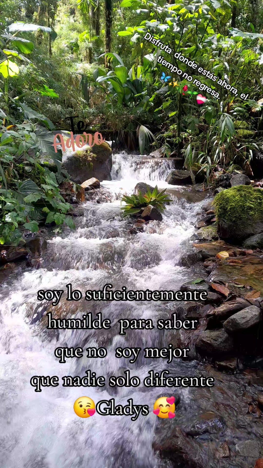 @Gavilanes Gladys ♥️