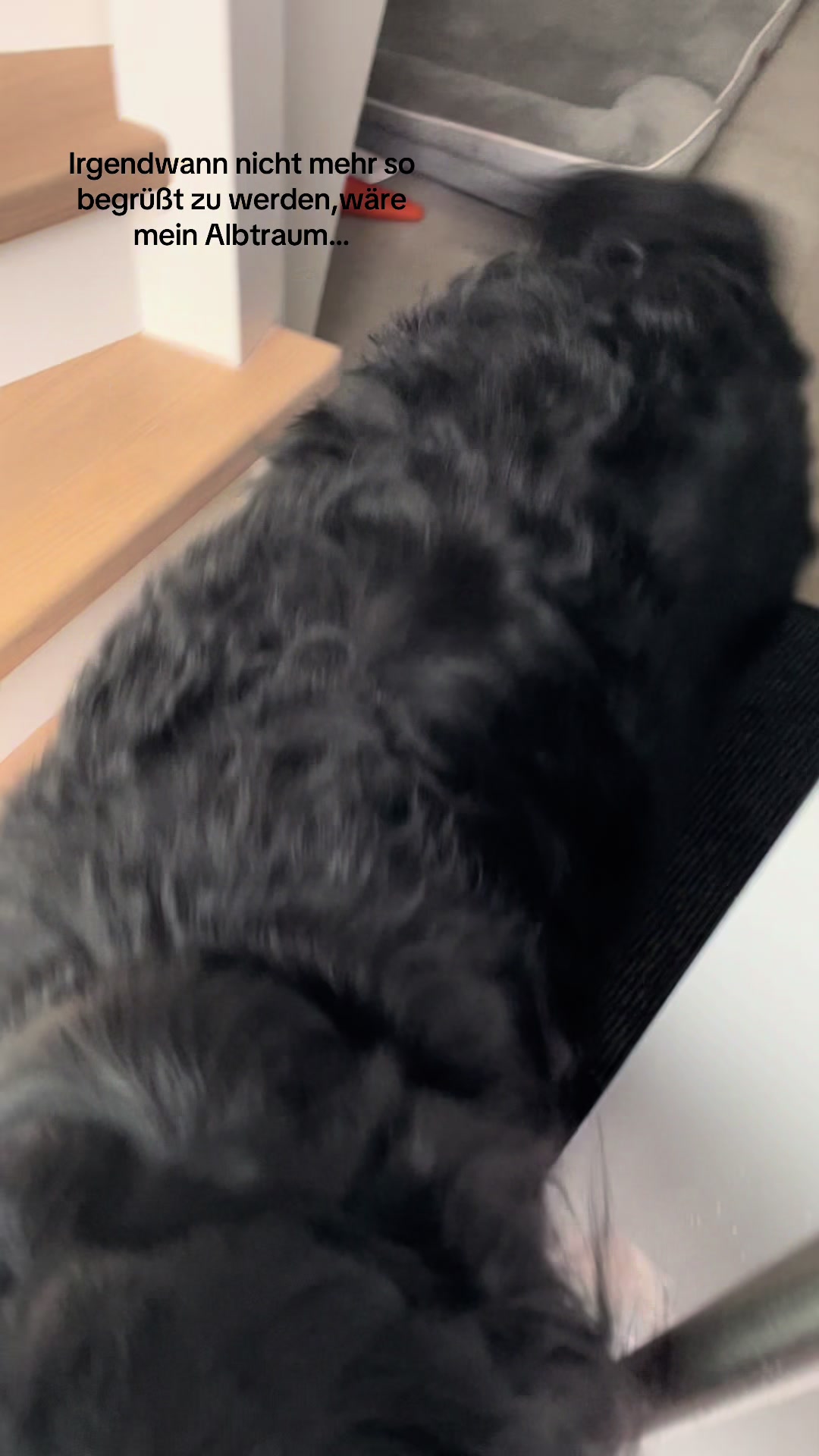 @𝒸𝒽𝒾𝒶𝓇𝒶ꨄ