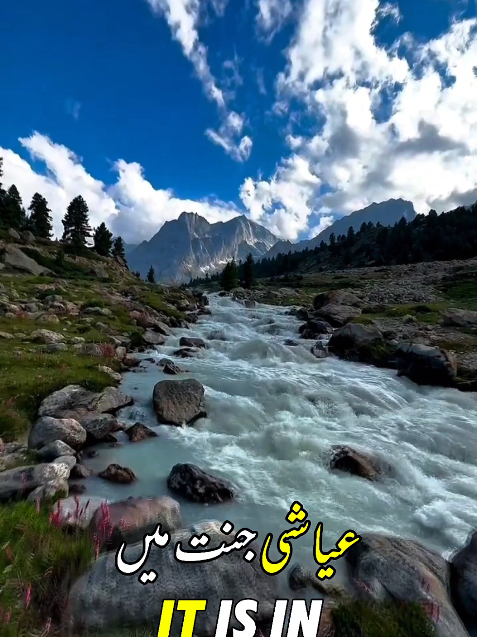 @Salman Ummati®