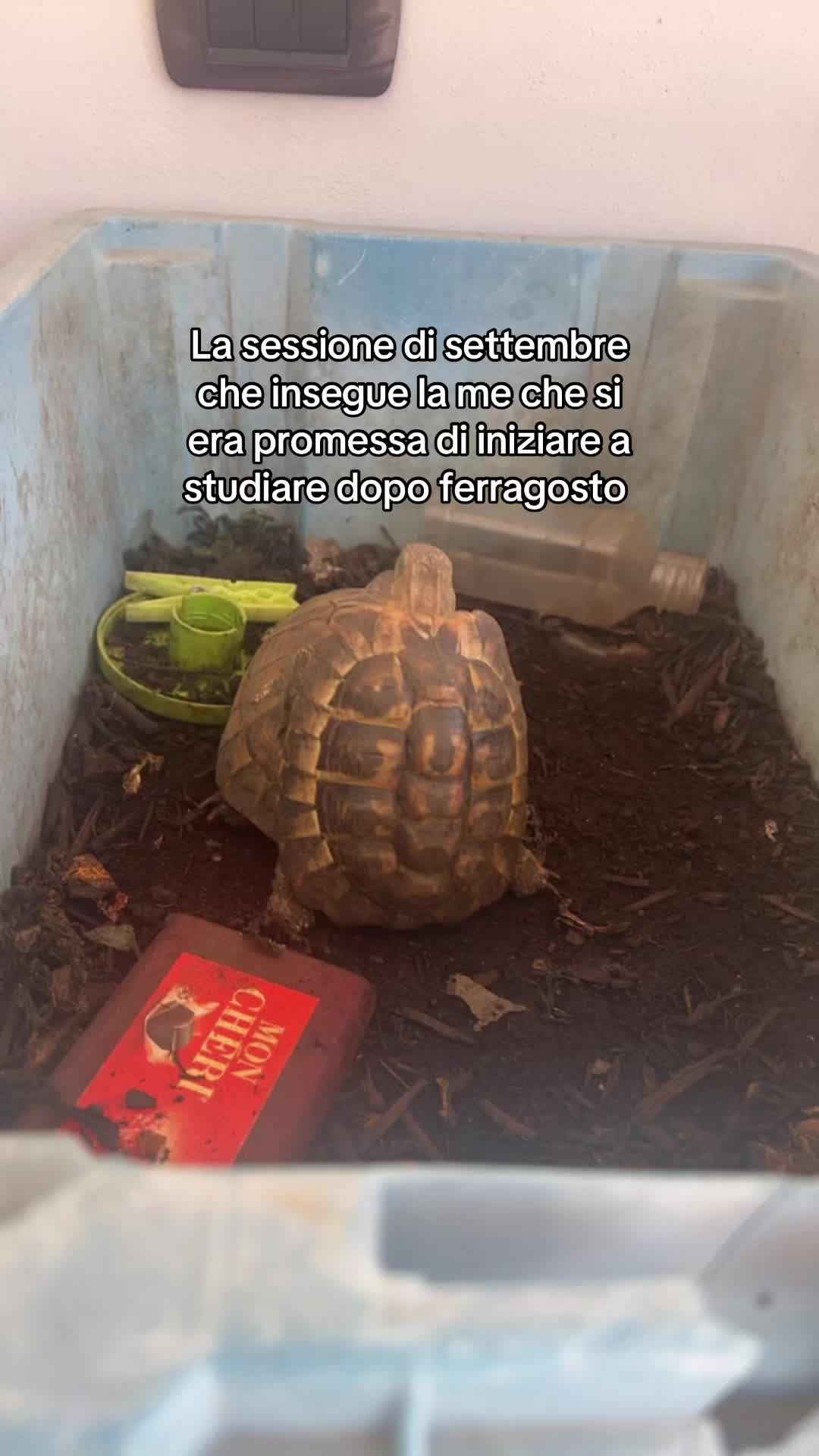 @Valeria Patania