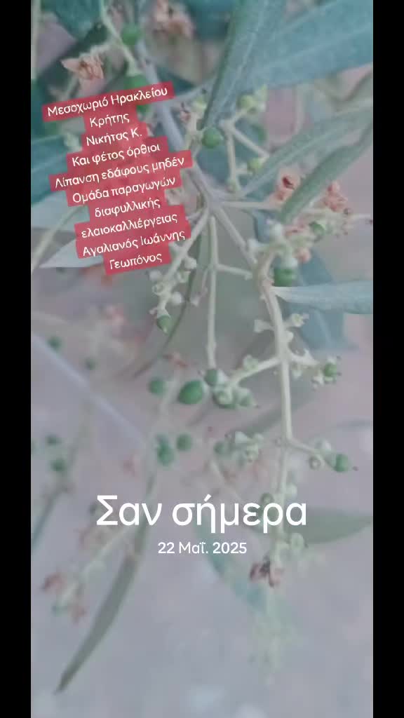 @&Alpha;&gamma;&alpha;&lambda;&iota;&alpha;&nu;ό&sigmaf; &Iota;&omega;ά&nu;&nu;&eta;&sigmaf; &Gamma;&epsilon;&omega;&pi;ό&nu;&omicron;&sigmaf;