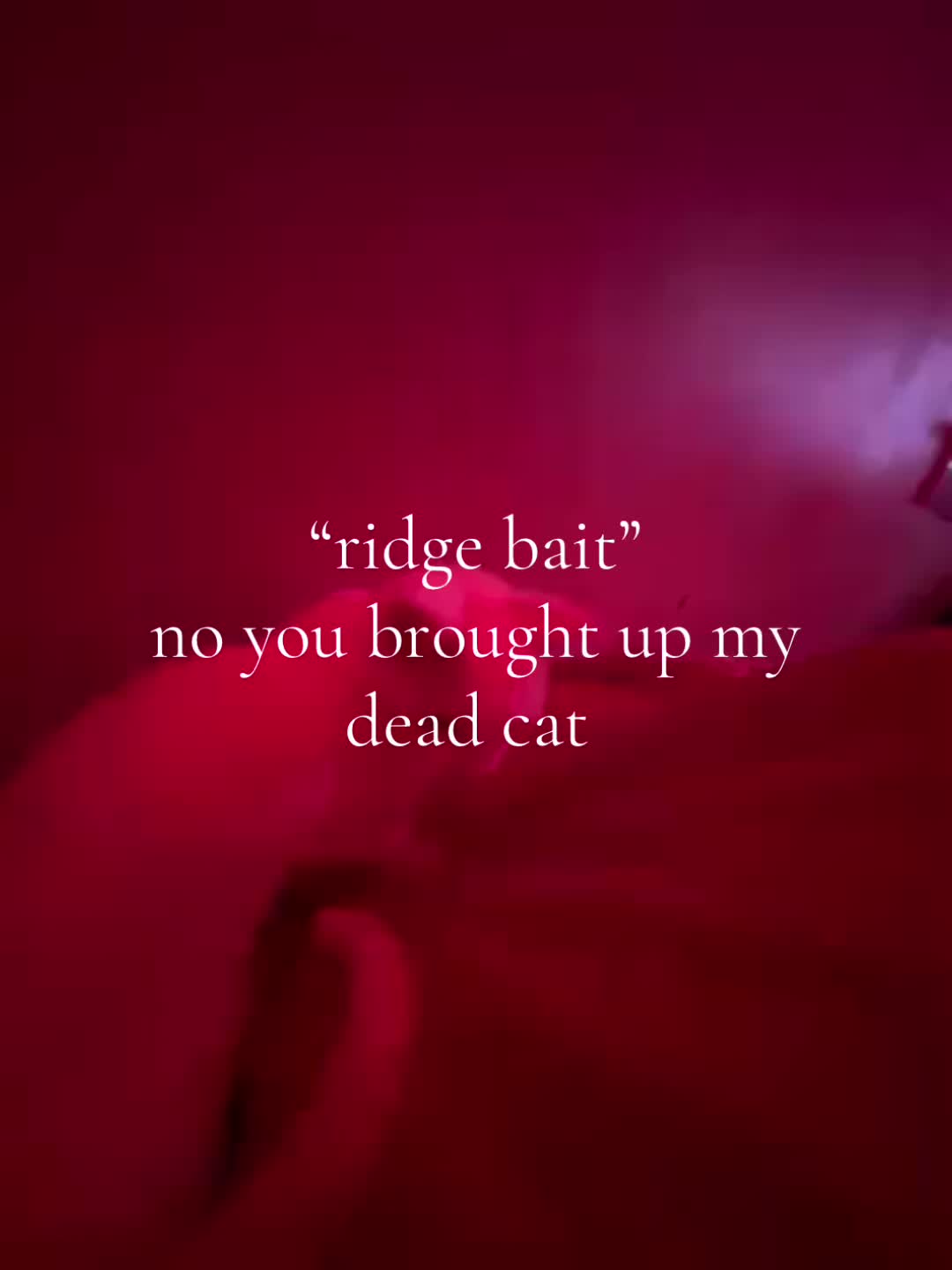 @𝓴𝓪𝓽𝓲𝓮ꨄ︎