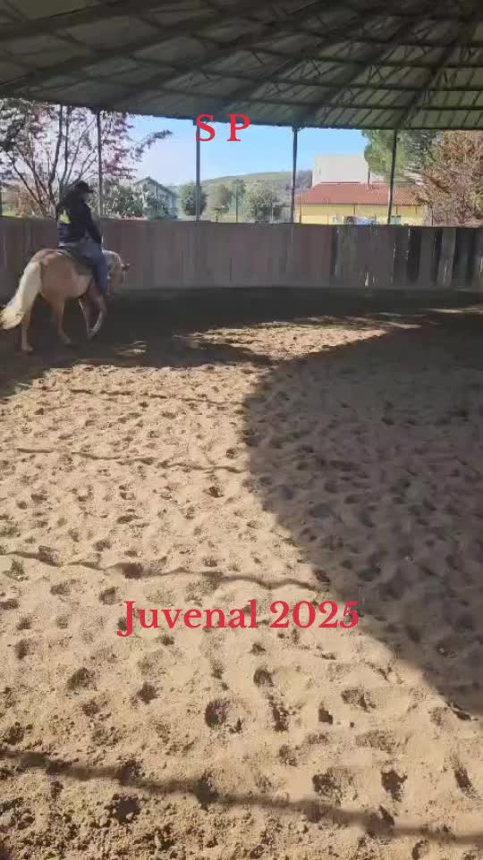 @Angelo D’Ambra