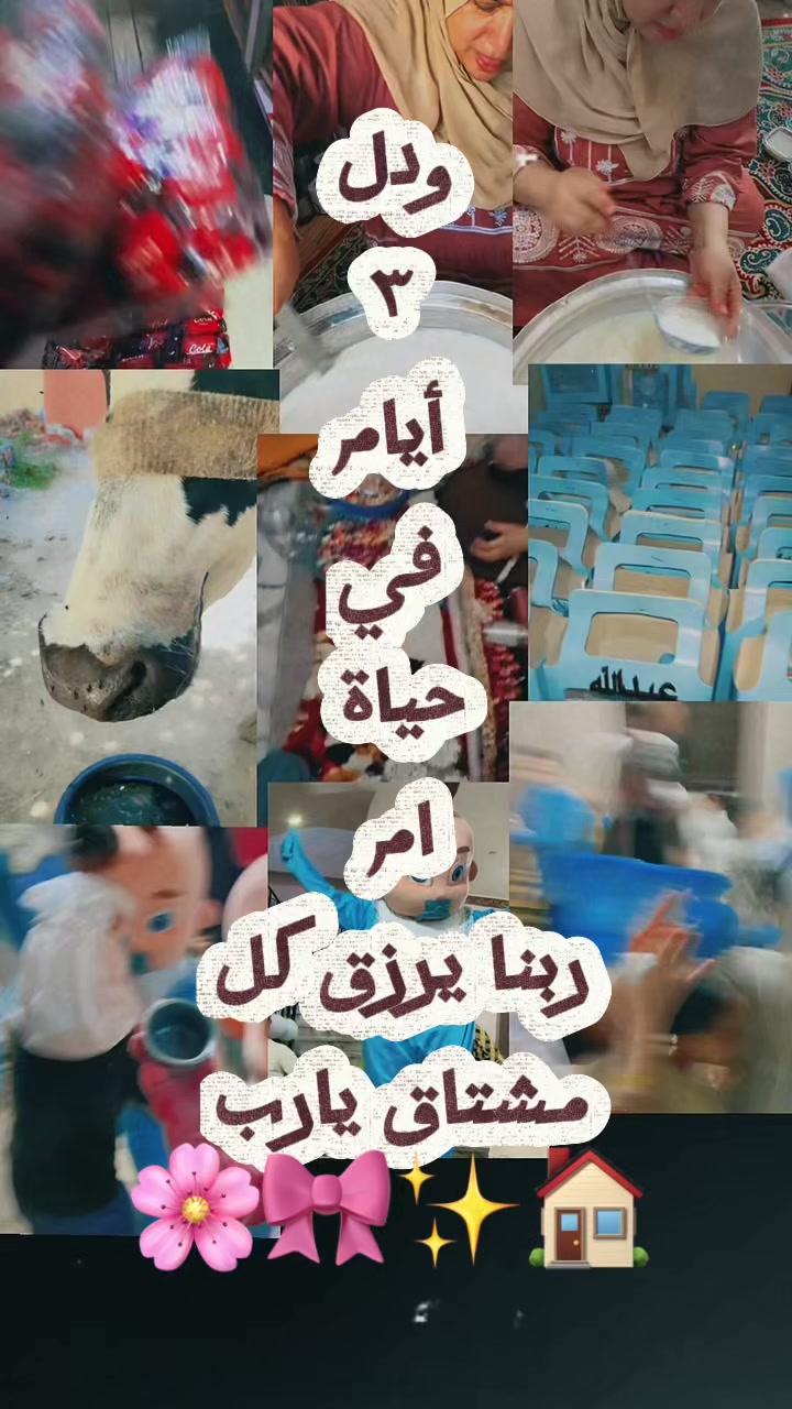 @Fatma Mahmoud