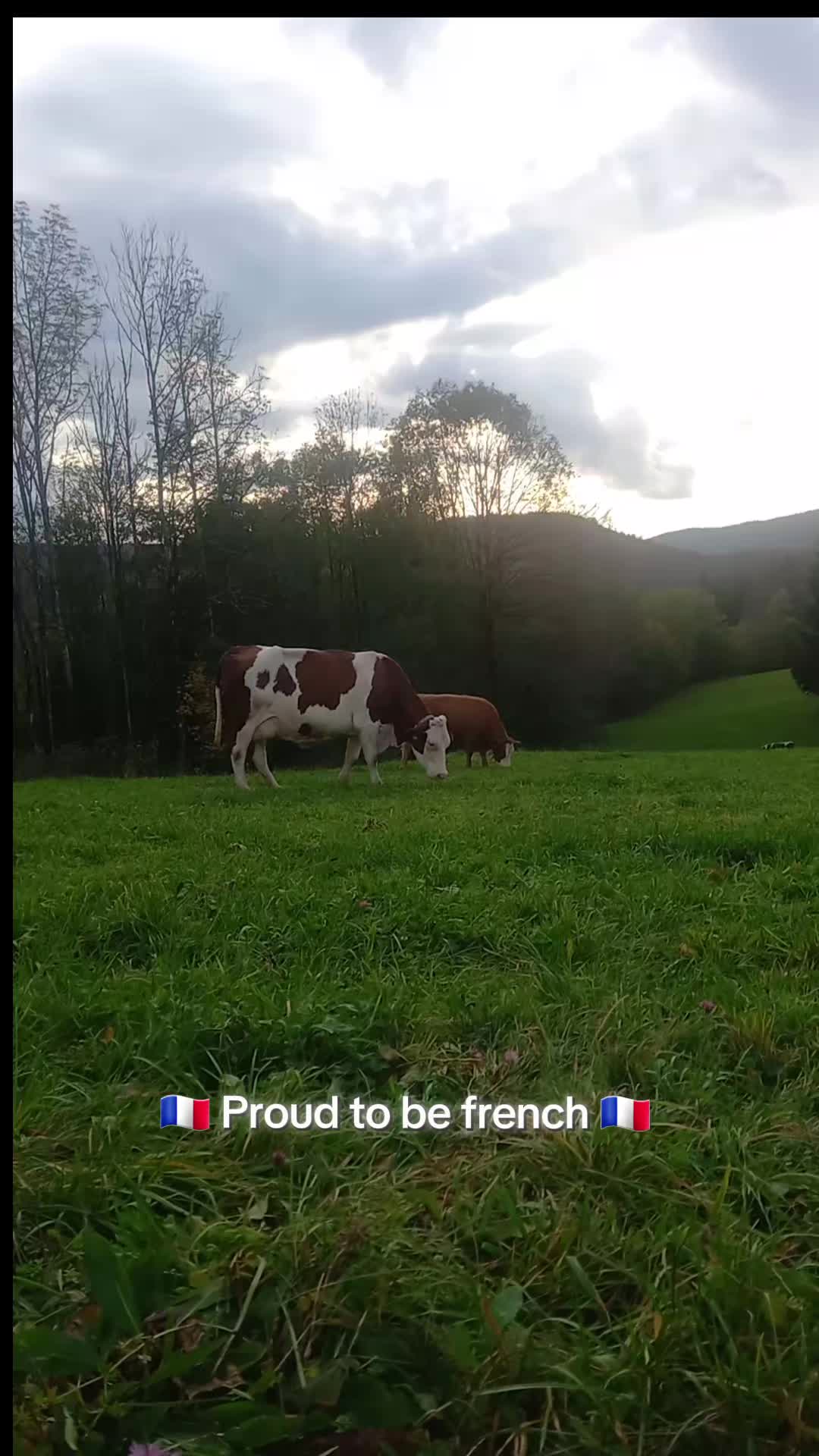 @La p’tite agri !