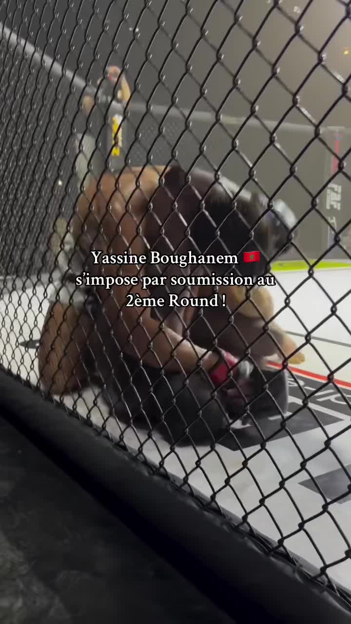 @Mocrofighters