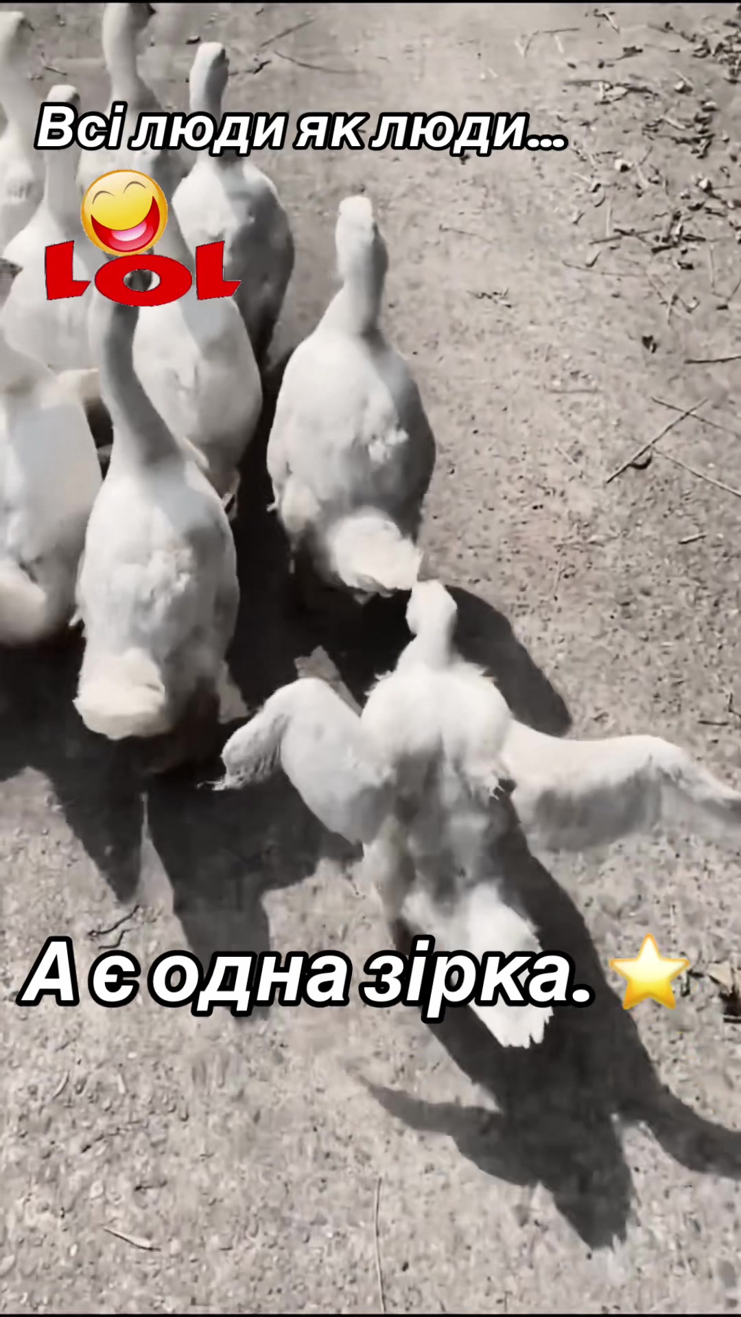 @Nataliia🇪🇪🇺🇦