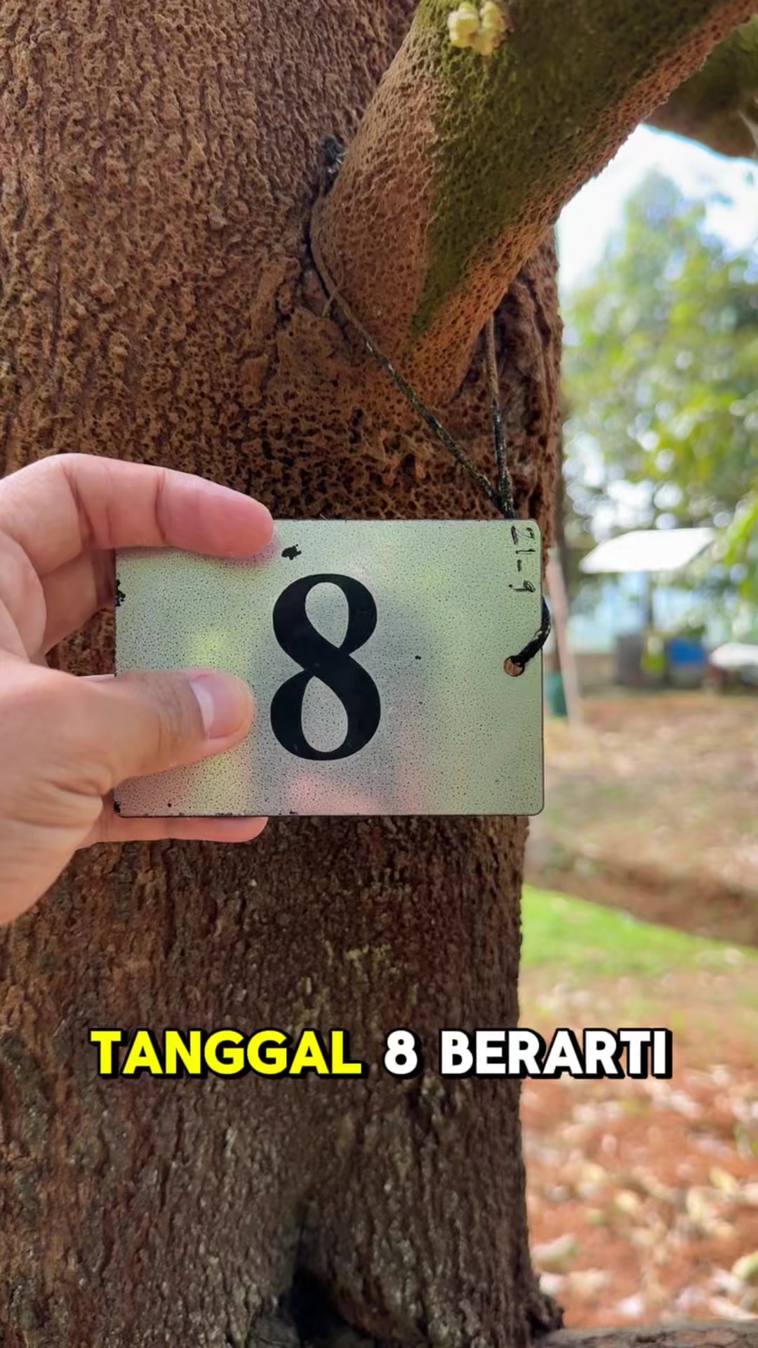 @AA KADU