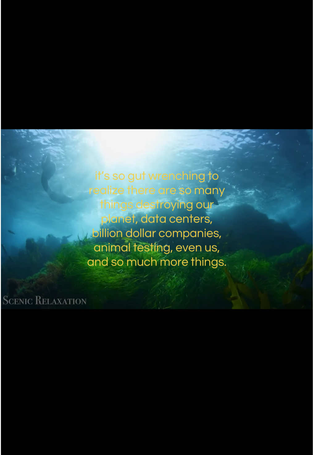 @gocean