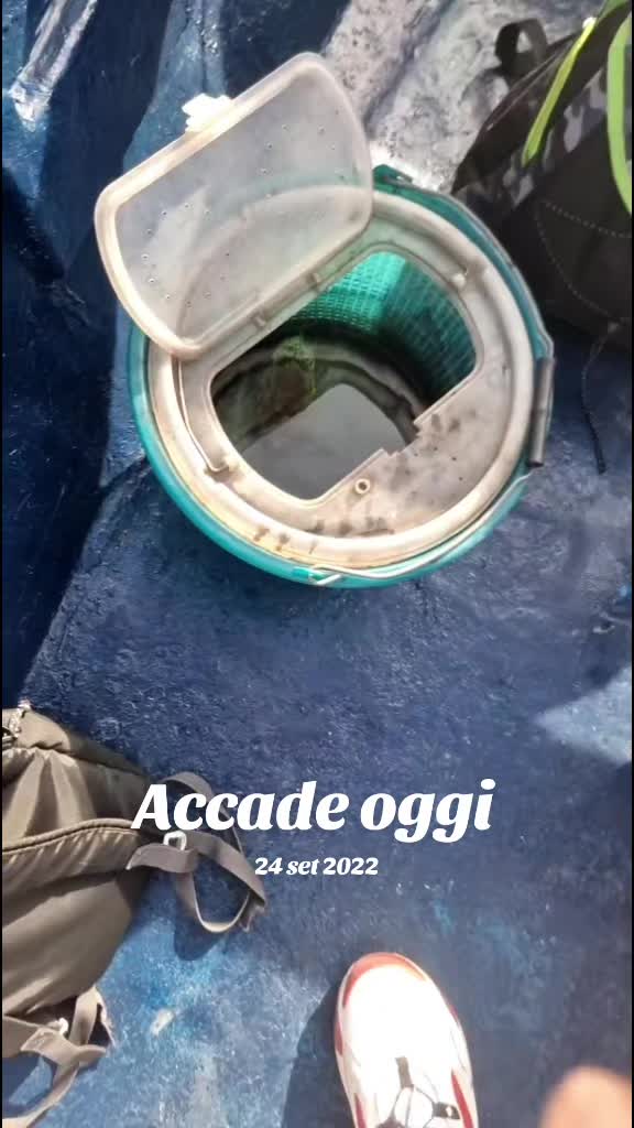 @🦈🎣SCB..RAFFAELE..SCB🎣💚