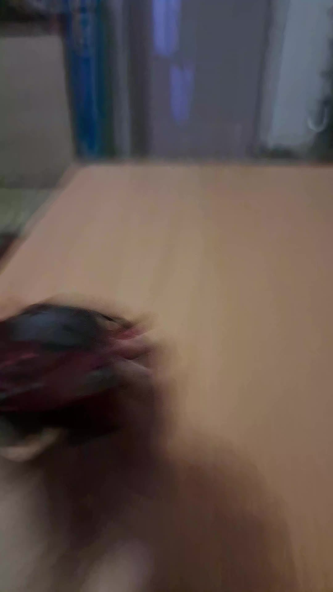 @𝑻𝑰𝑴𝑰𝑿𝒁🐉