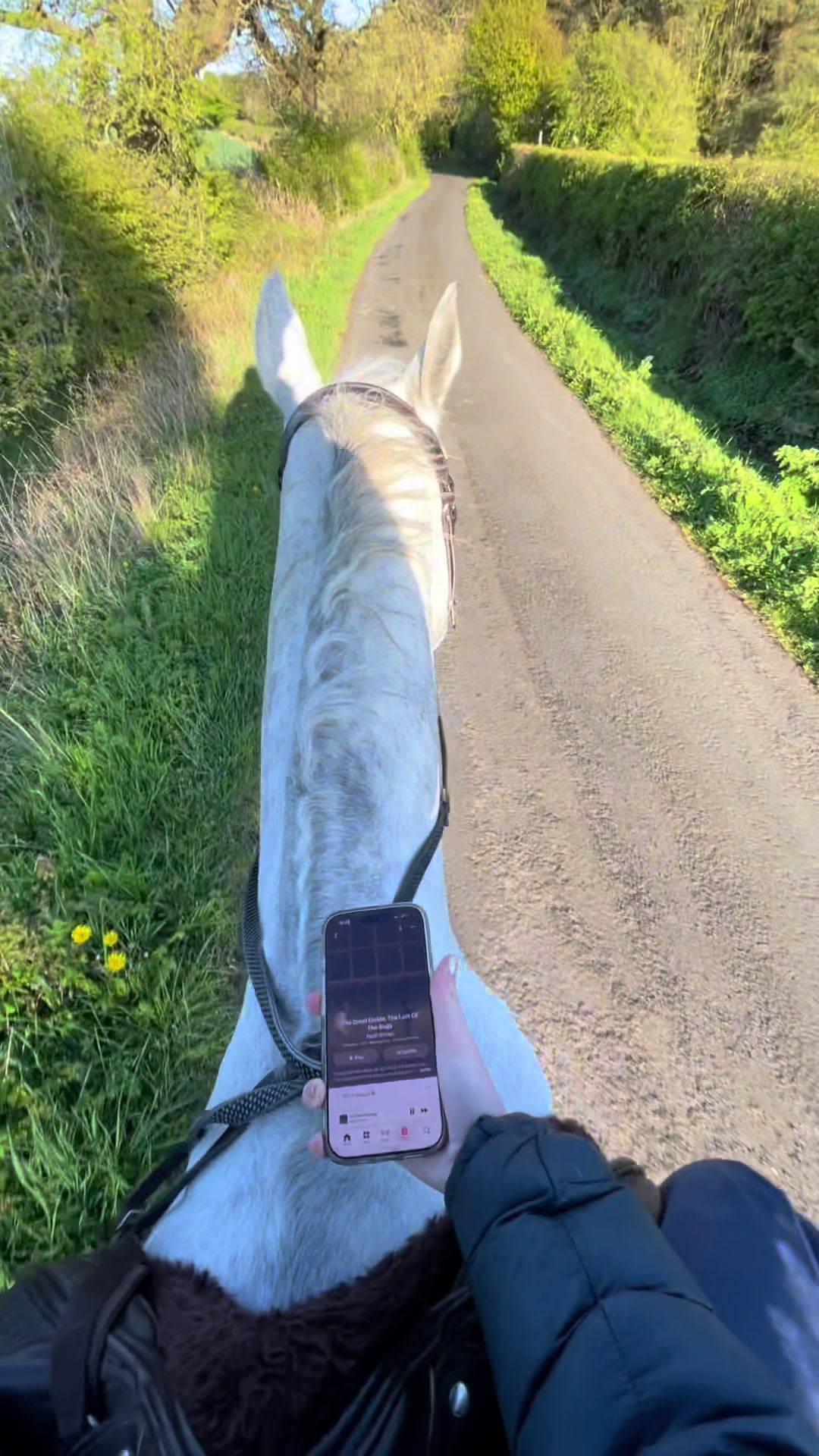 @Attempting to ride❤️