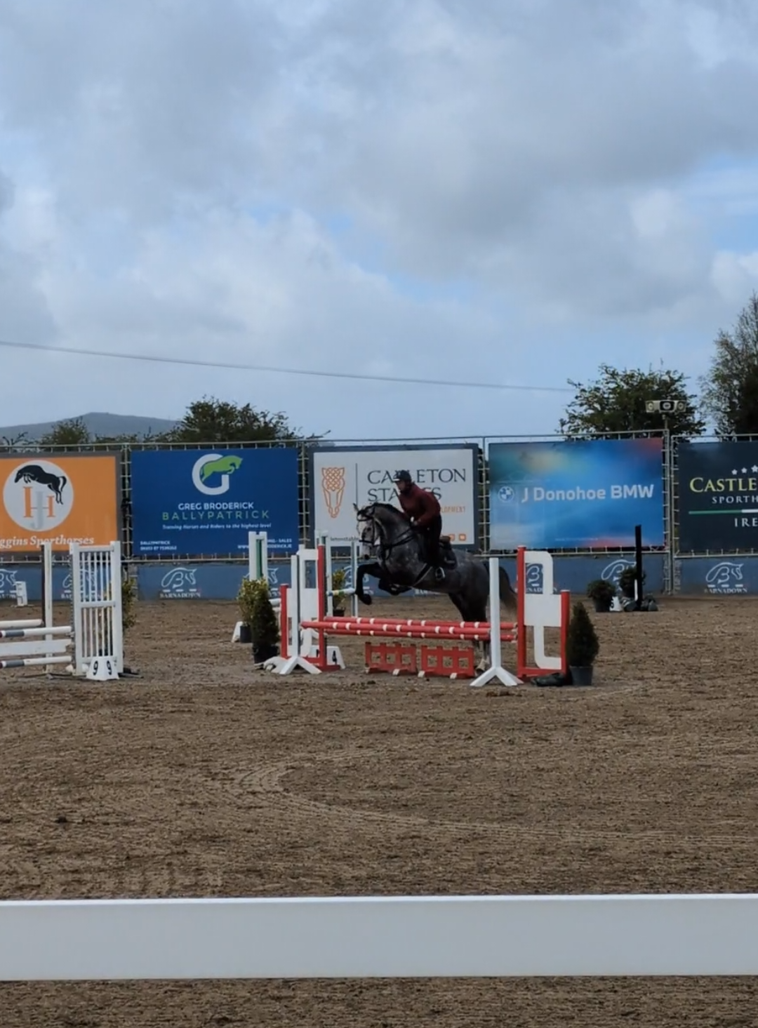 @irishsporthorses