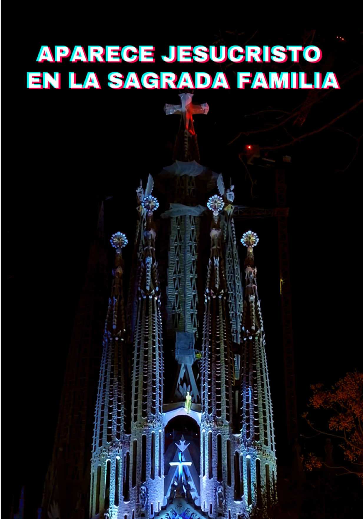 @rayos.cazar