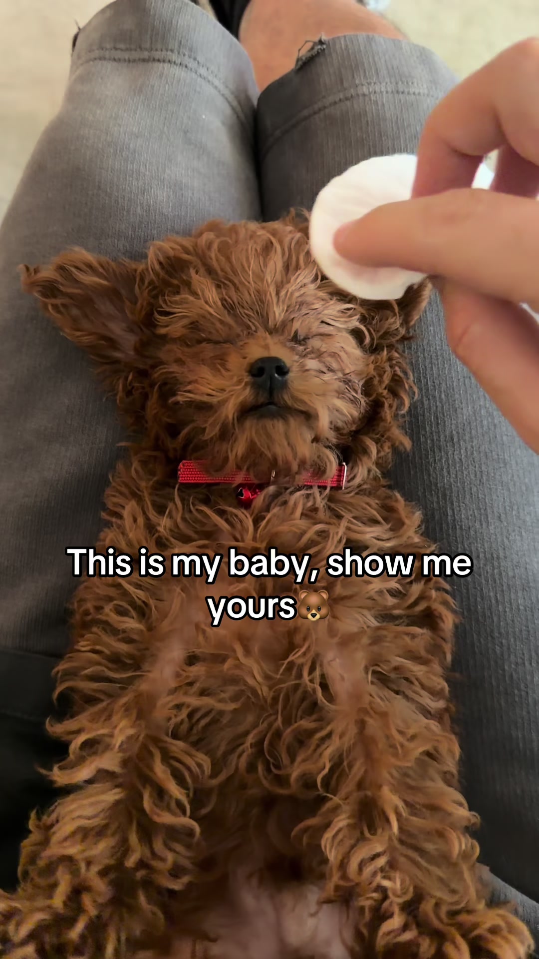 @Mario