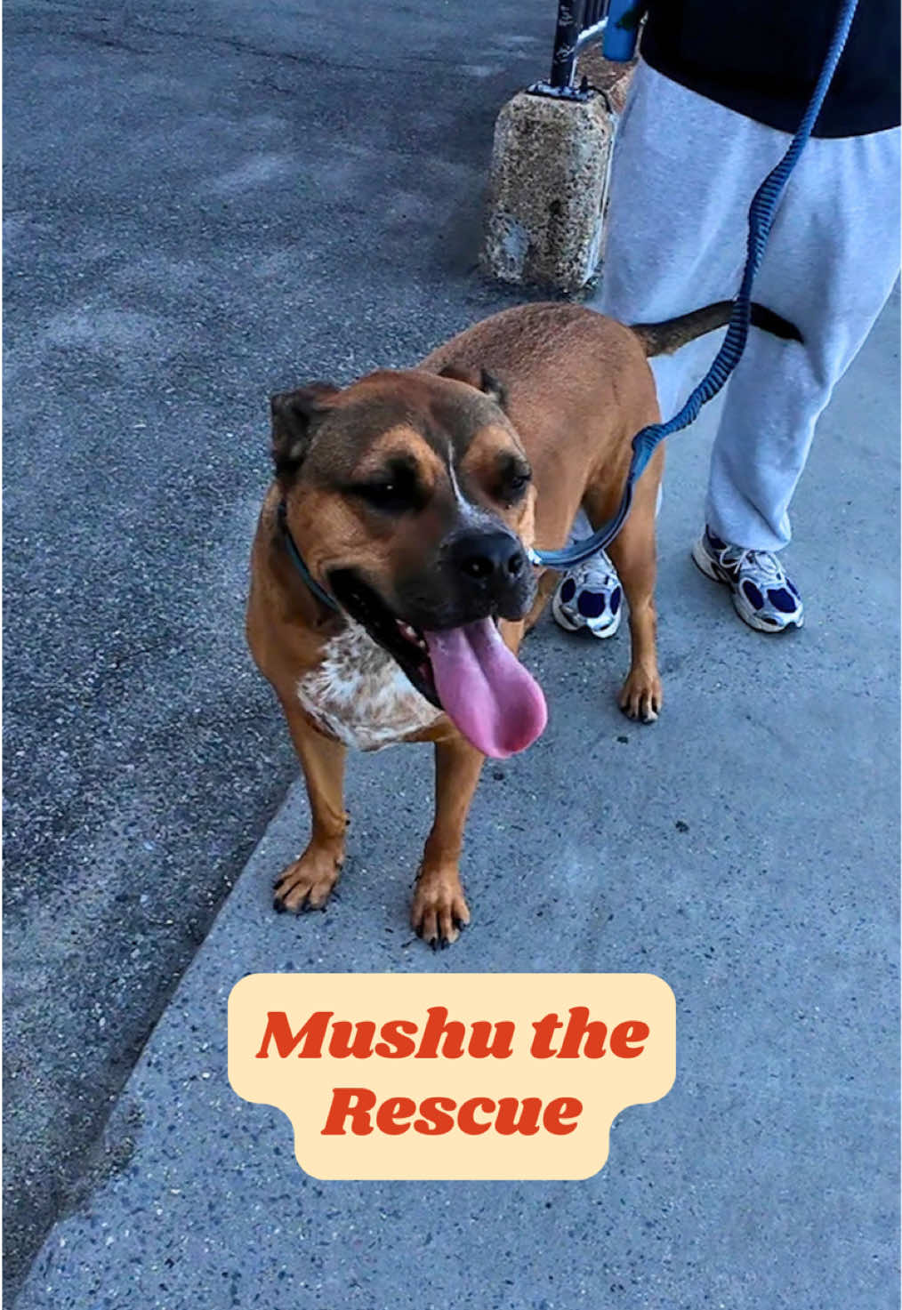 @My Best Friend USA