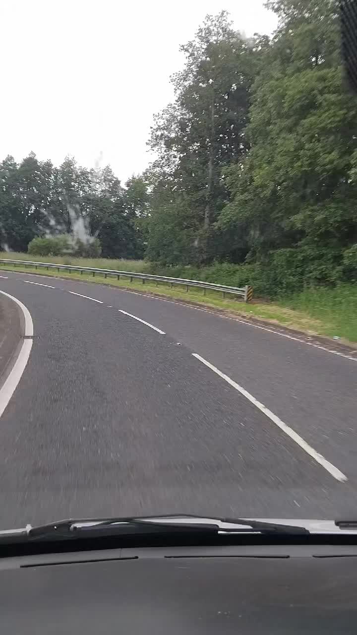 @geraldmcveigh0