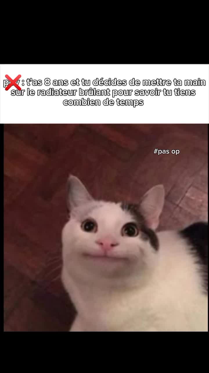 @salyox 🙈🙉