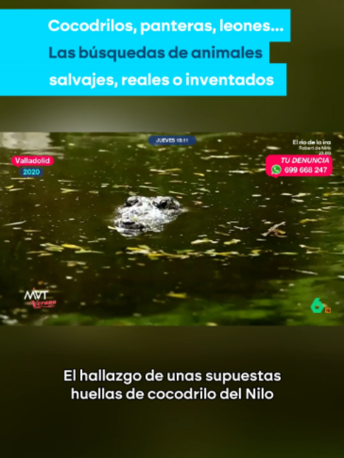 @laSextatv