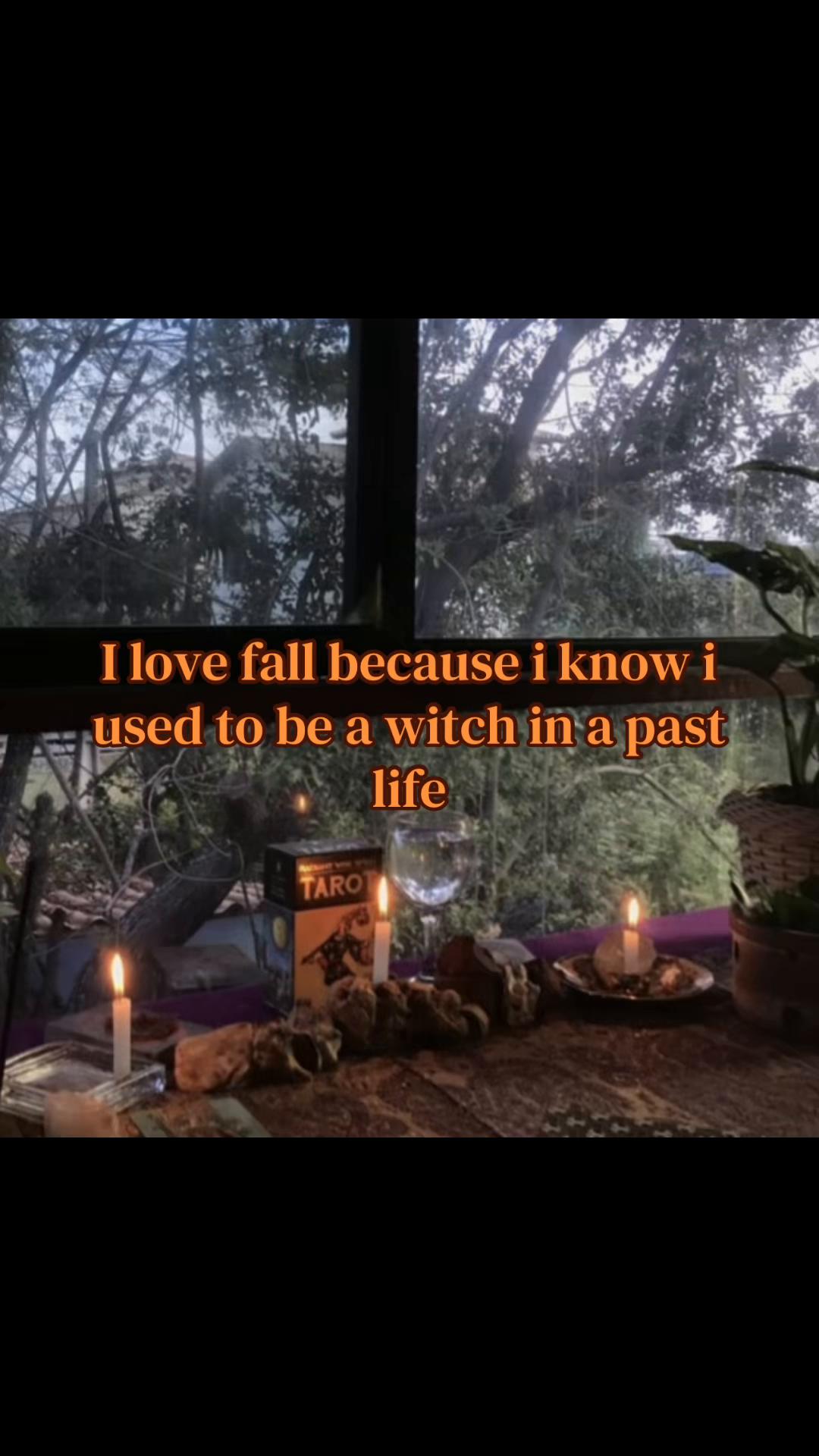 @falltok 🍂