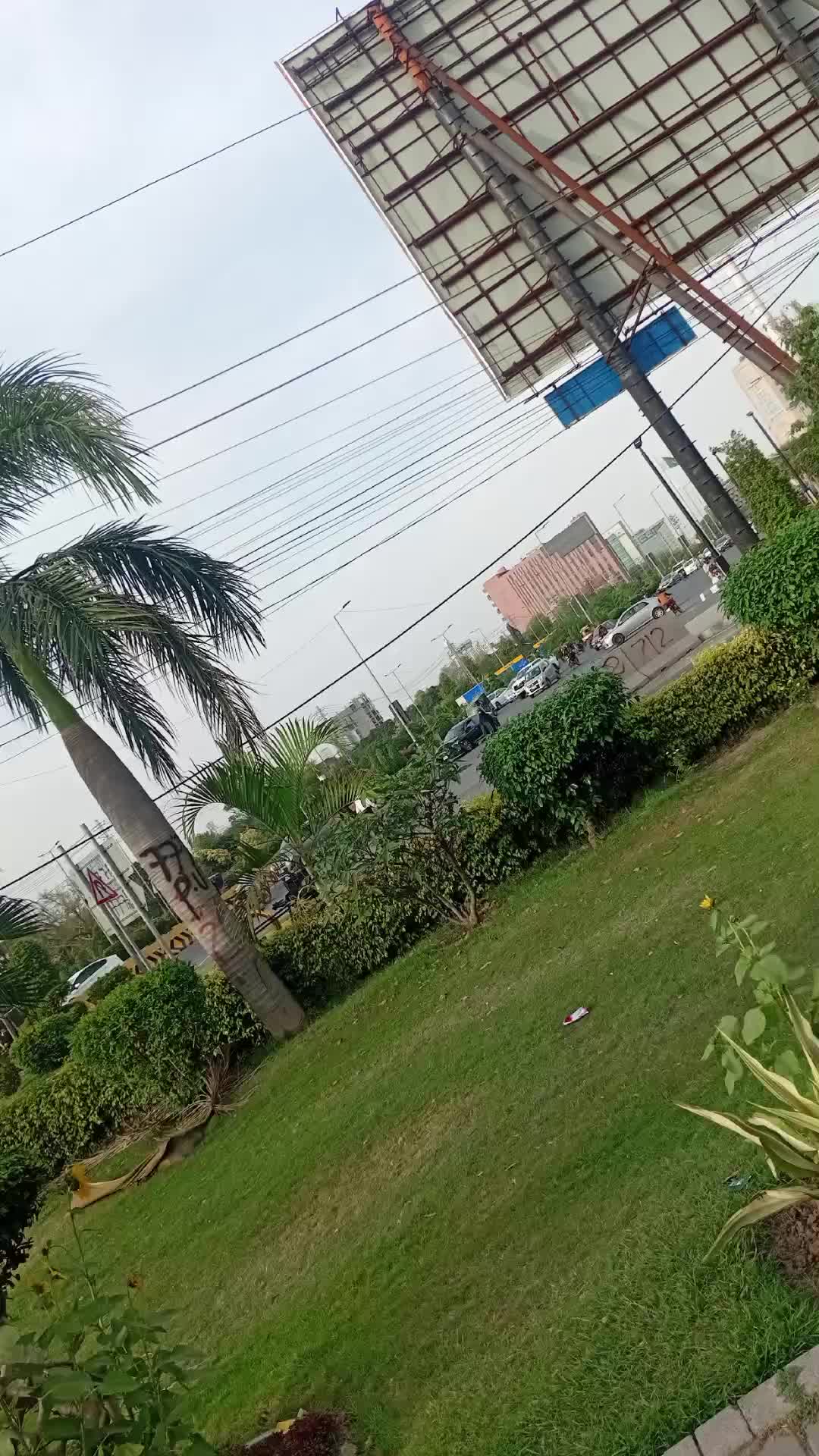 @⚘️ بجلی ☘️