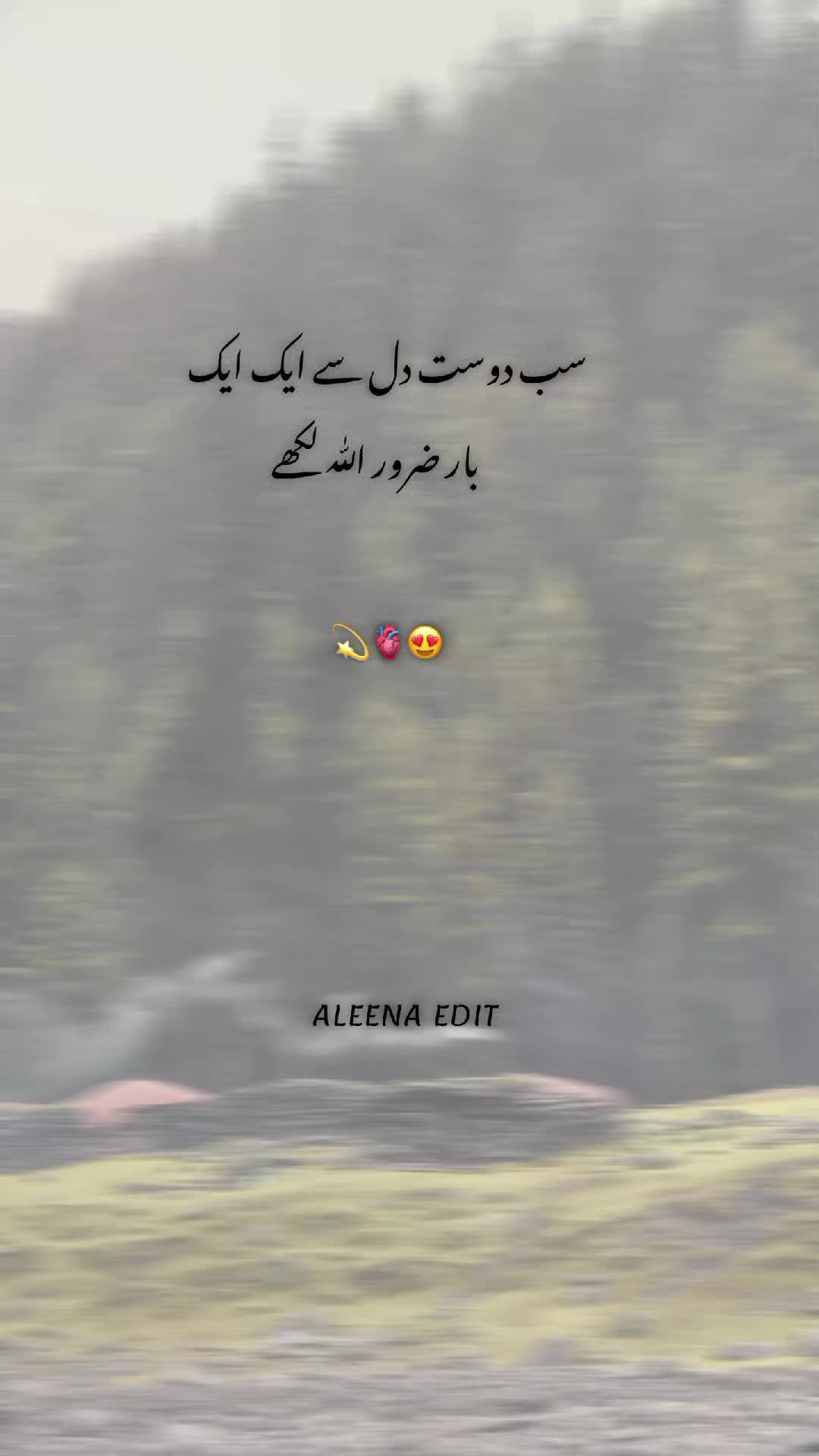 @💫 Islamic Lines 💫