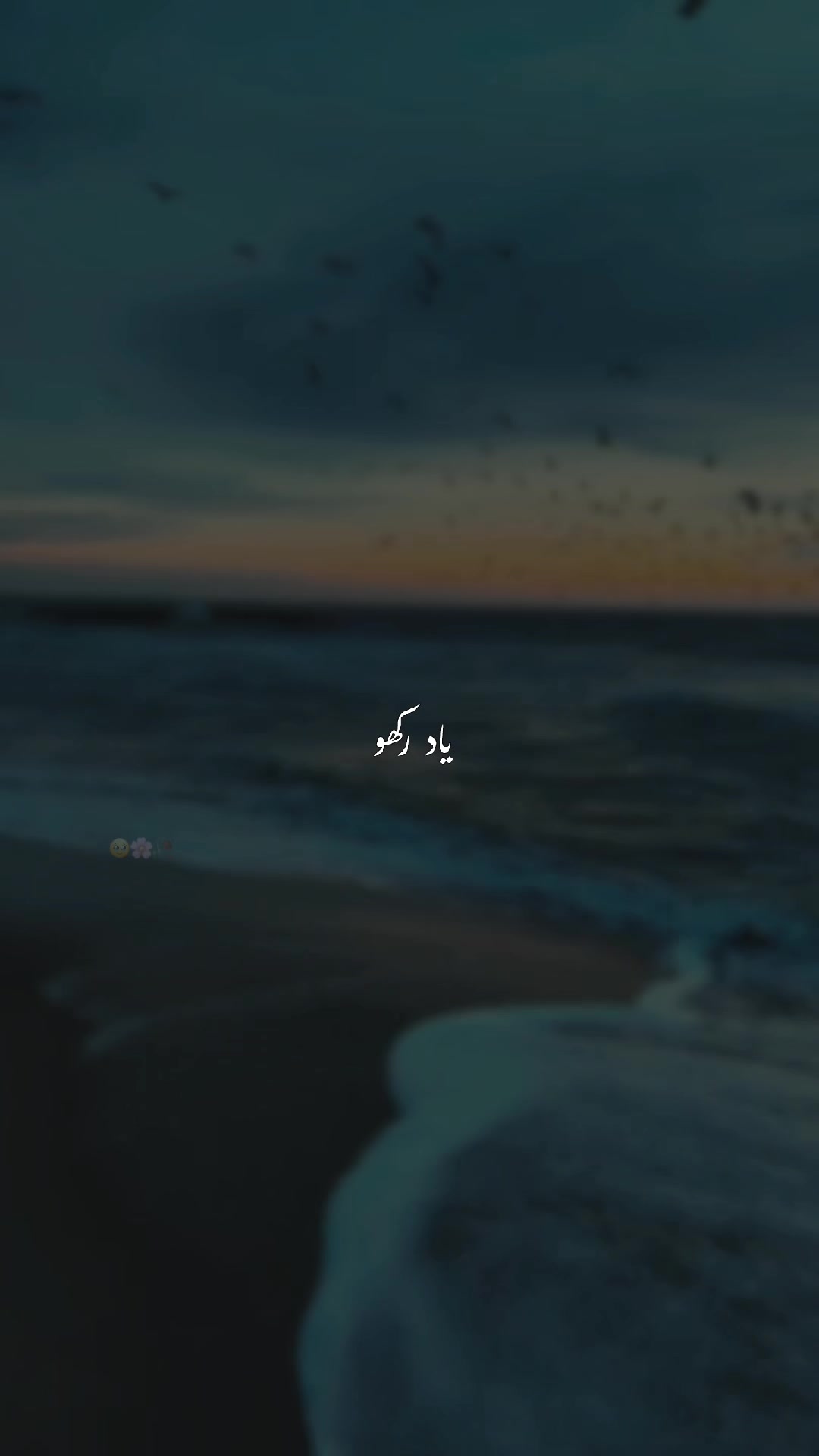 @𓆩♡𓆪