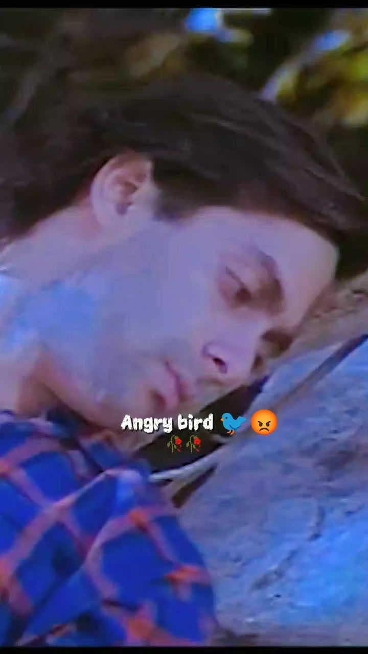 @💫𝖆𝖓𝖌𝖗𝖞 𝖇𝖎𝖗𝖉𝖘💫💥