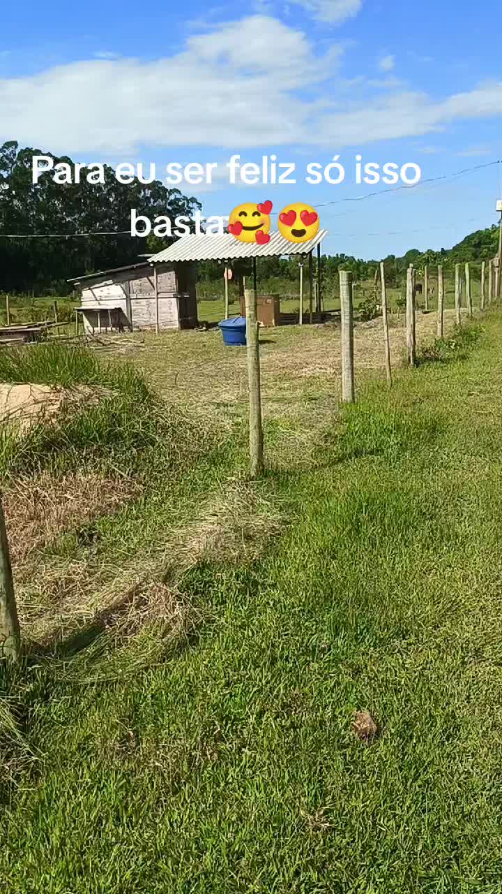@FOGUINHO 🔥