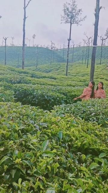 @Sembaruthi🌺செம்பருத்தி tiktok