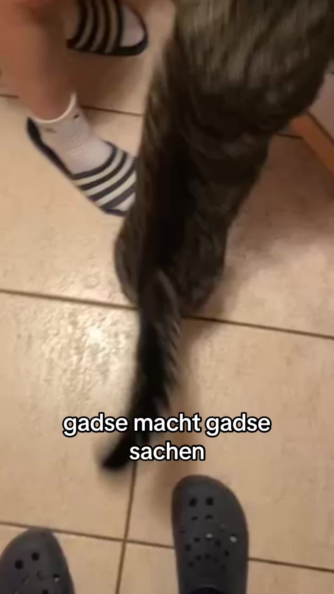 @hilfiqueti