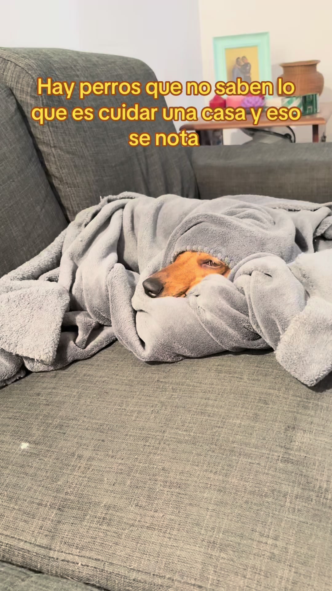 @Diana Bernal