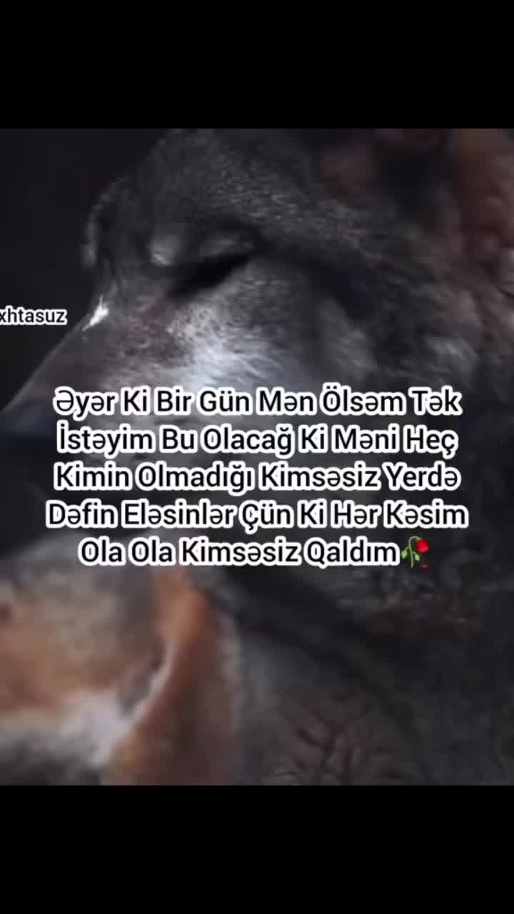 @Taleayselsevgisi❤️♾️