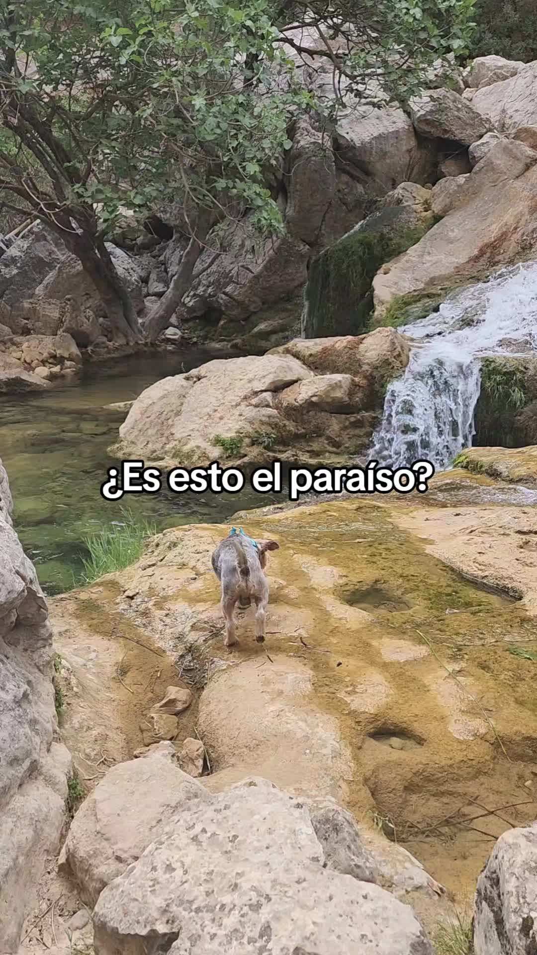 @Marisa