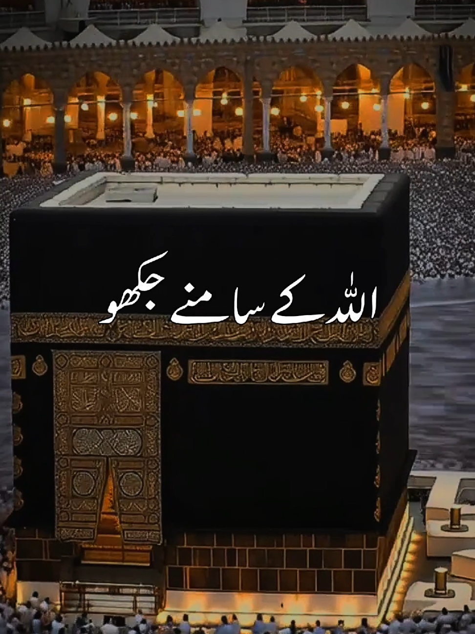 @HOLY QURAN