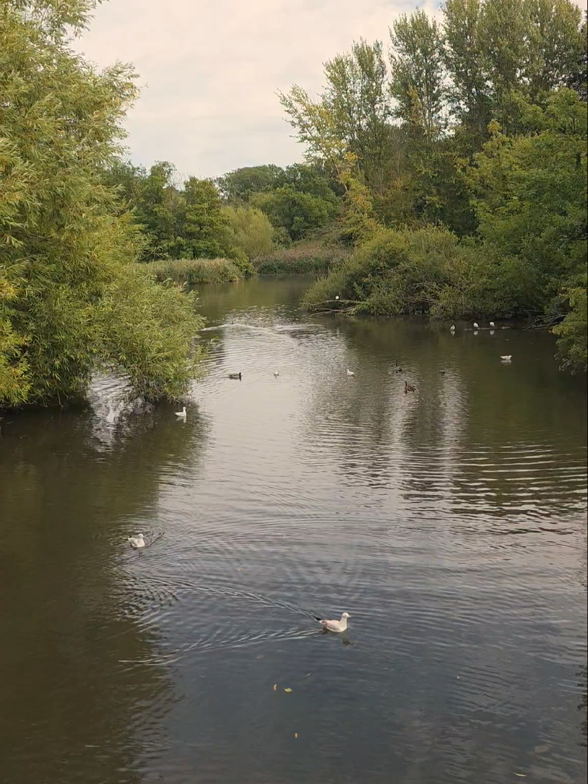 @Nature Lover