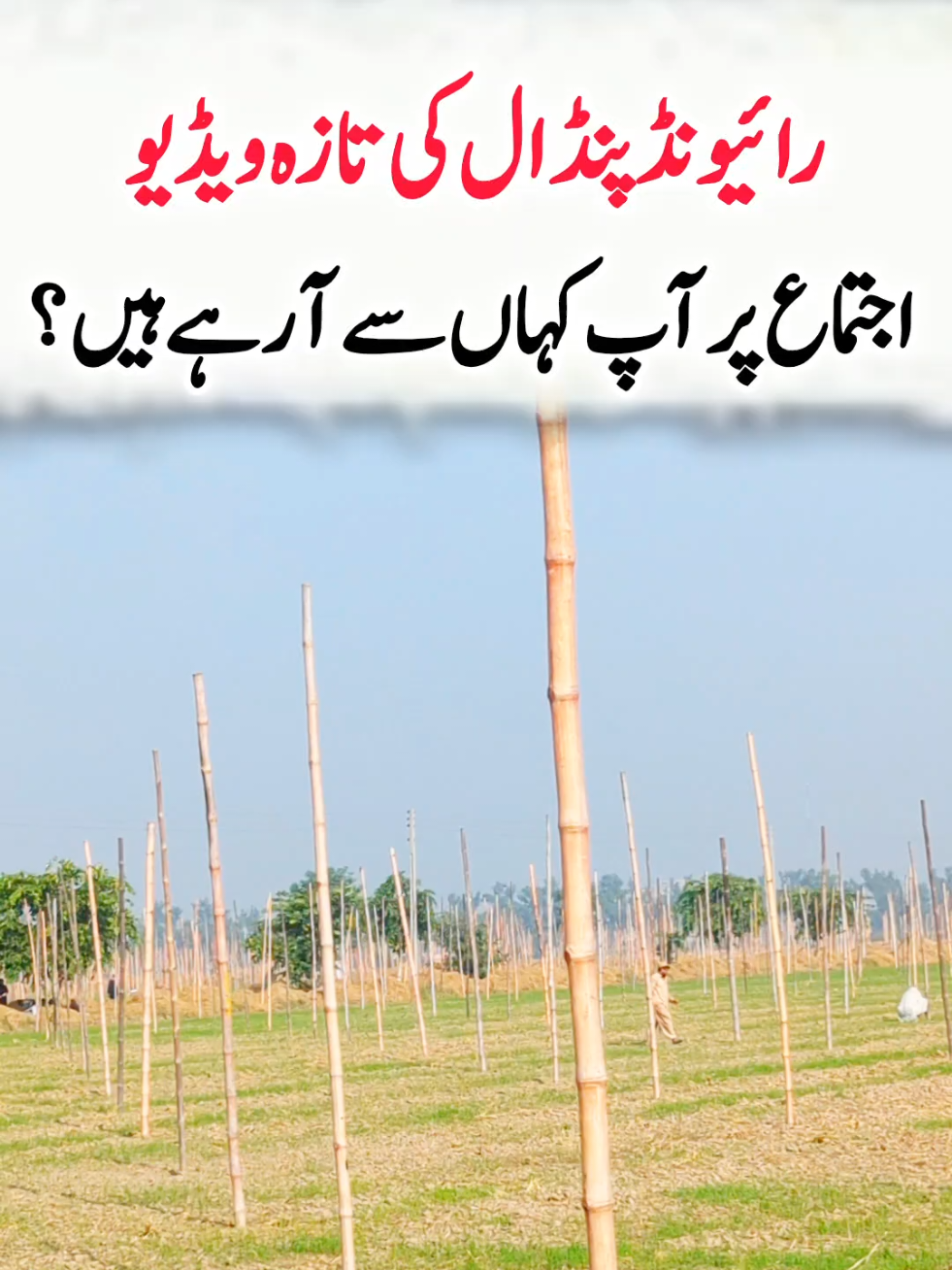 @Salman Ummati®