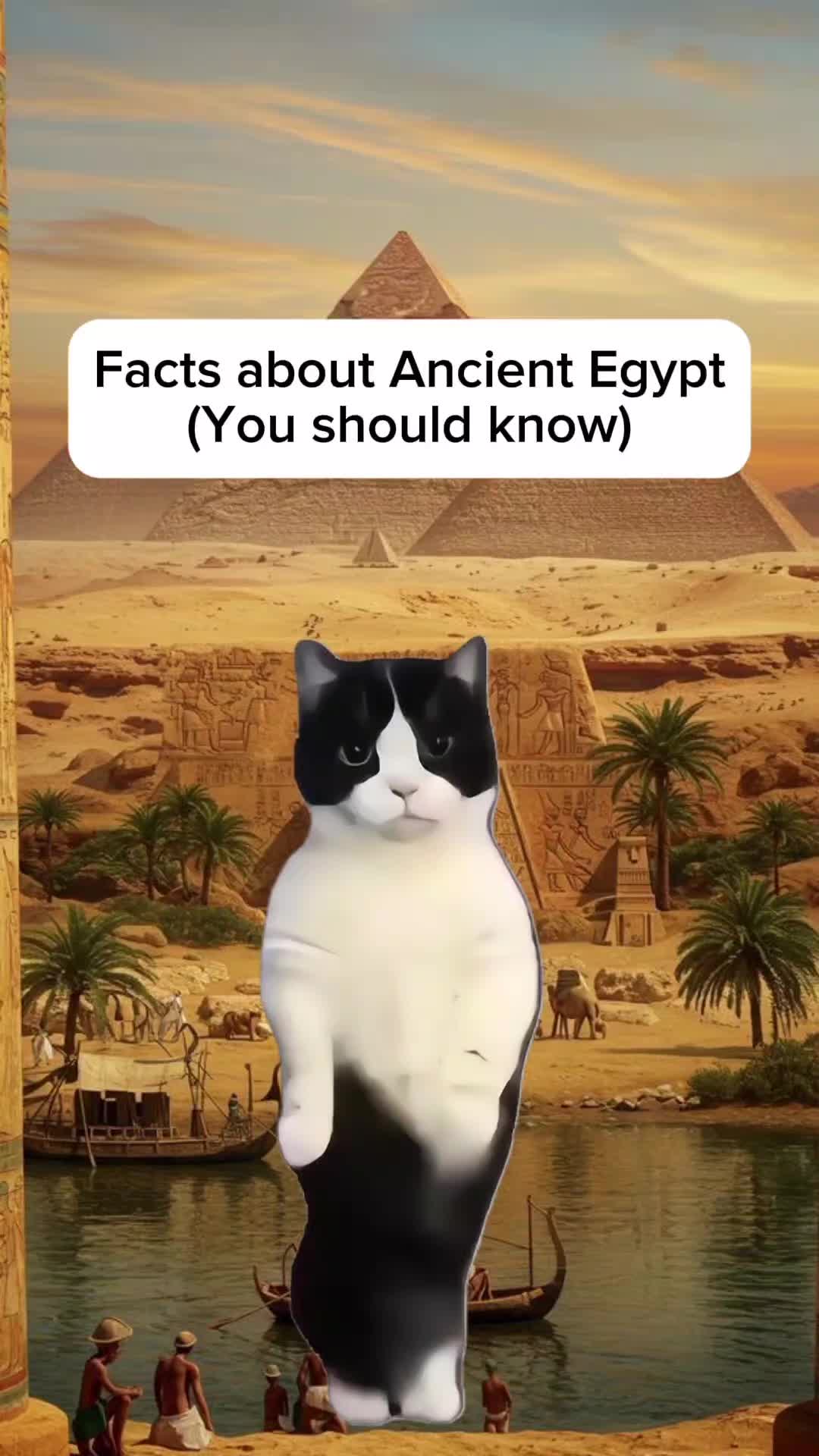 @Histonerd