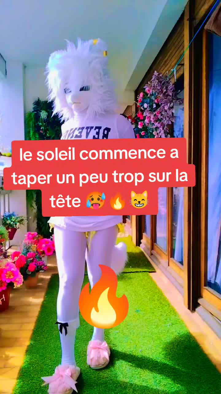 @SnowCat